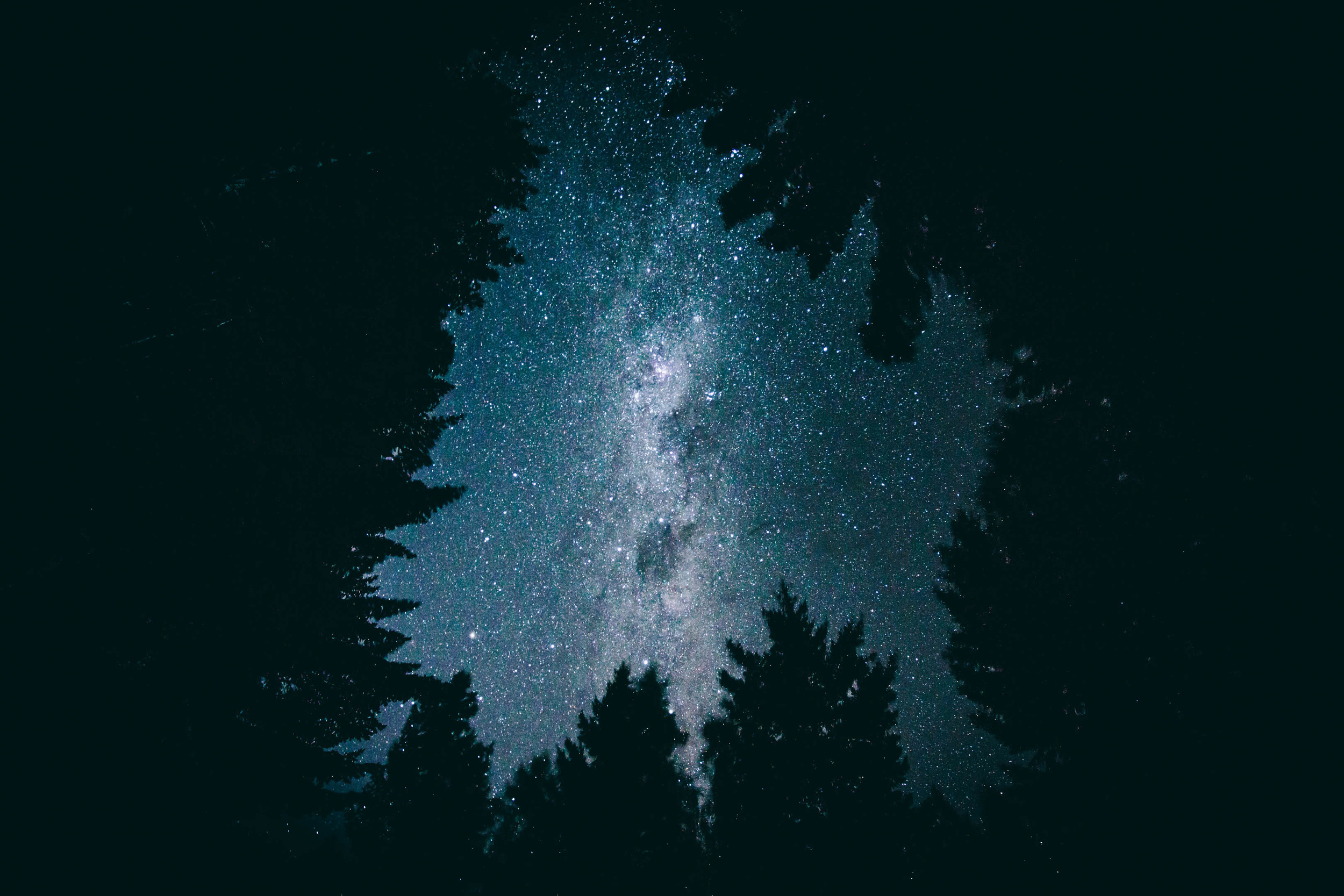 The Milky Way from the bike park tracks in Queenstown