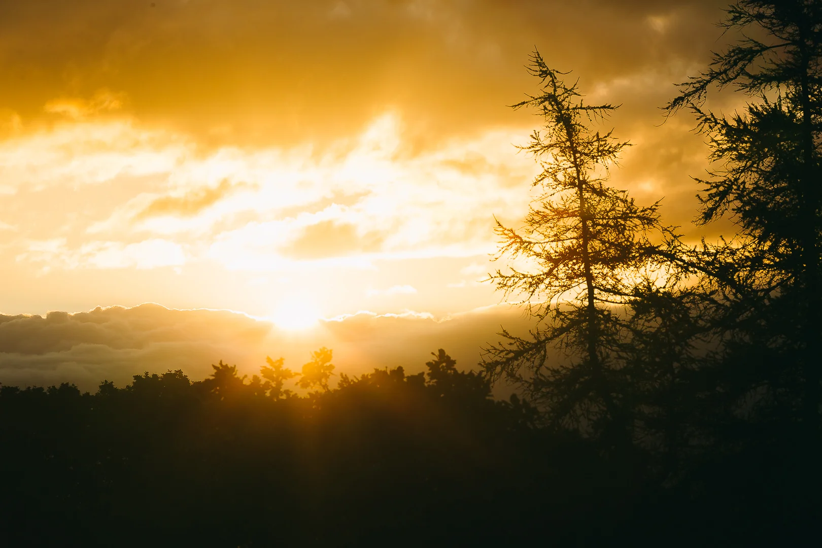 SocialMediaVersion__OEX_BenFogle-Day2-7497_20180825.jpg