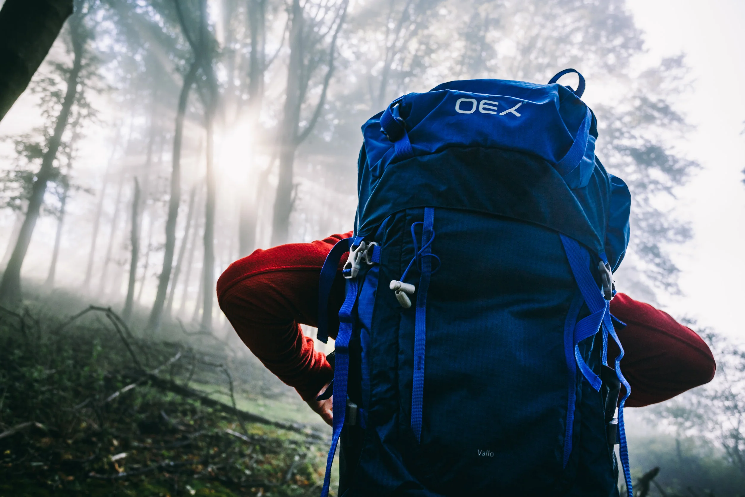 OEX-MamTor-9176_20180925.jpg
