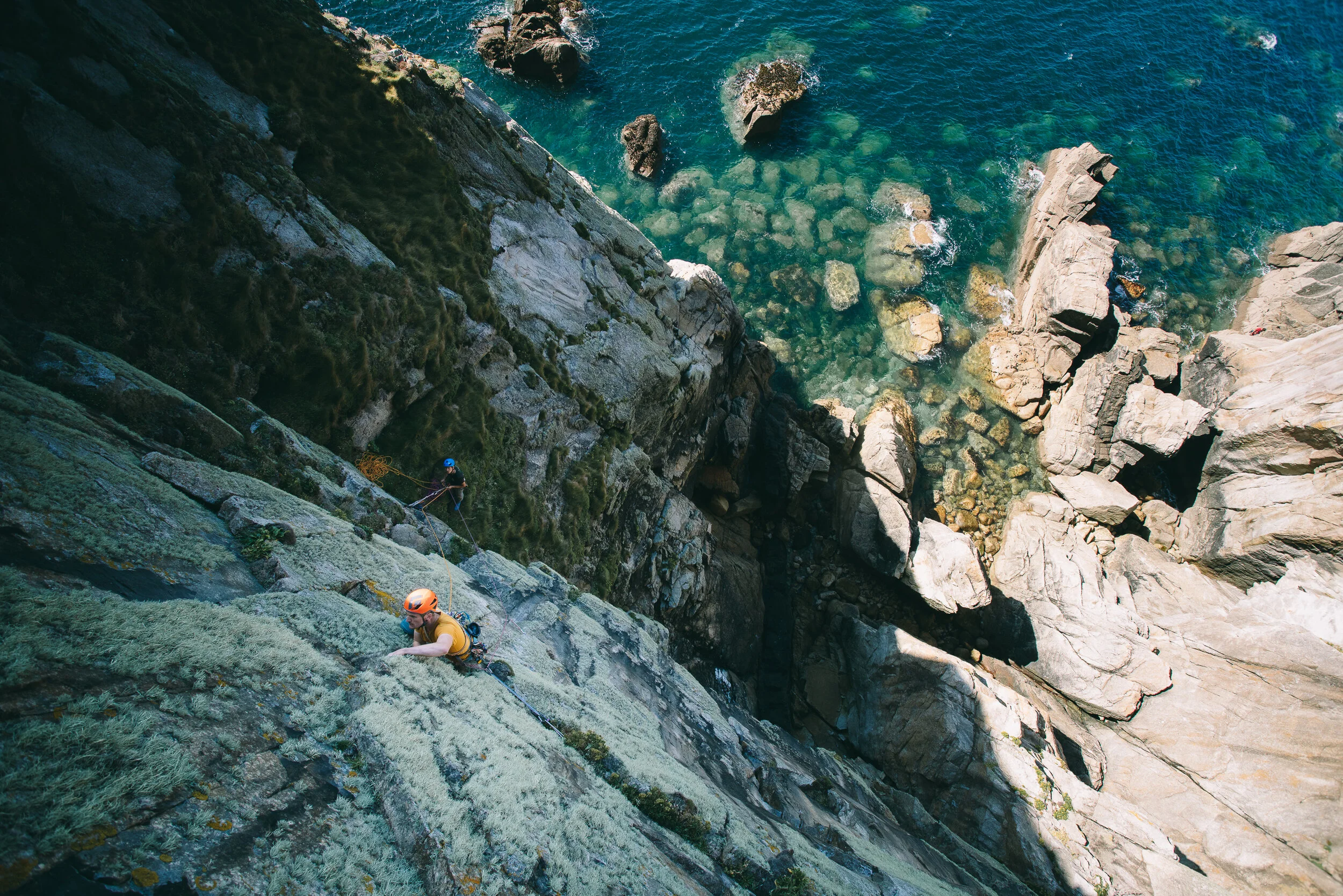  Sam Watchorn - Venus Flytrap, E2 5c 