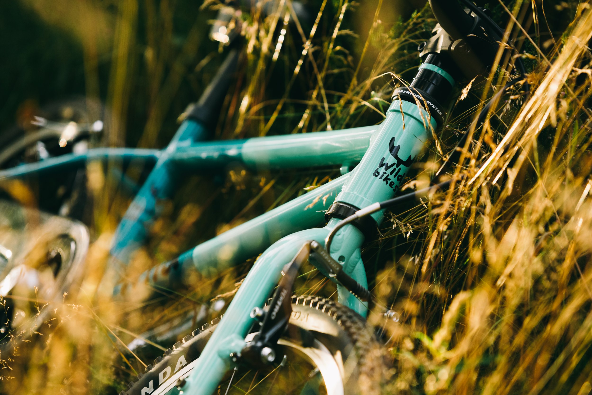 WildBikesCannings1-5980_20180809.jpg
