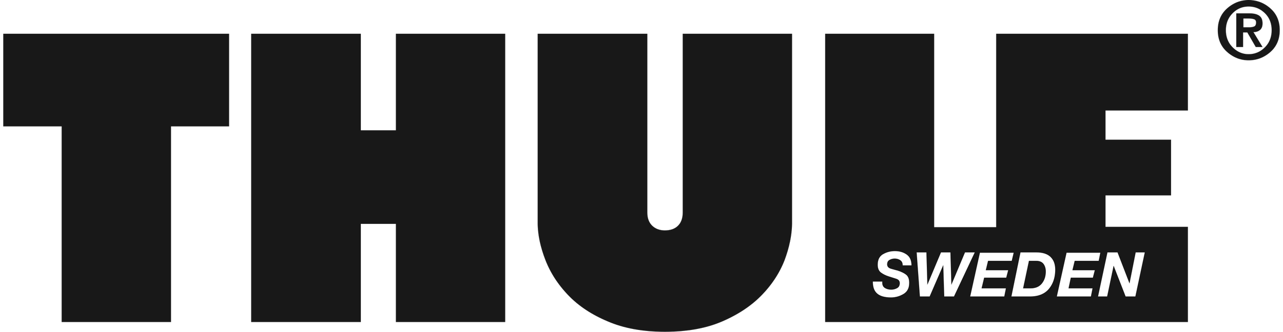 Thule_Brand_Logo_03.2023.svg.png