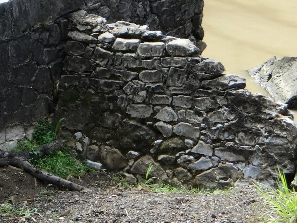 29007_44.jpg