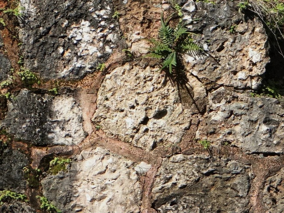 11150_44.jpg