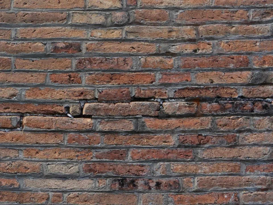 529960_4.jpg