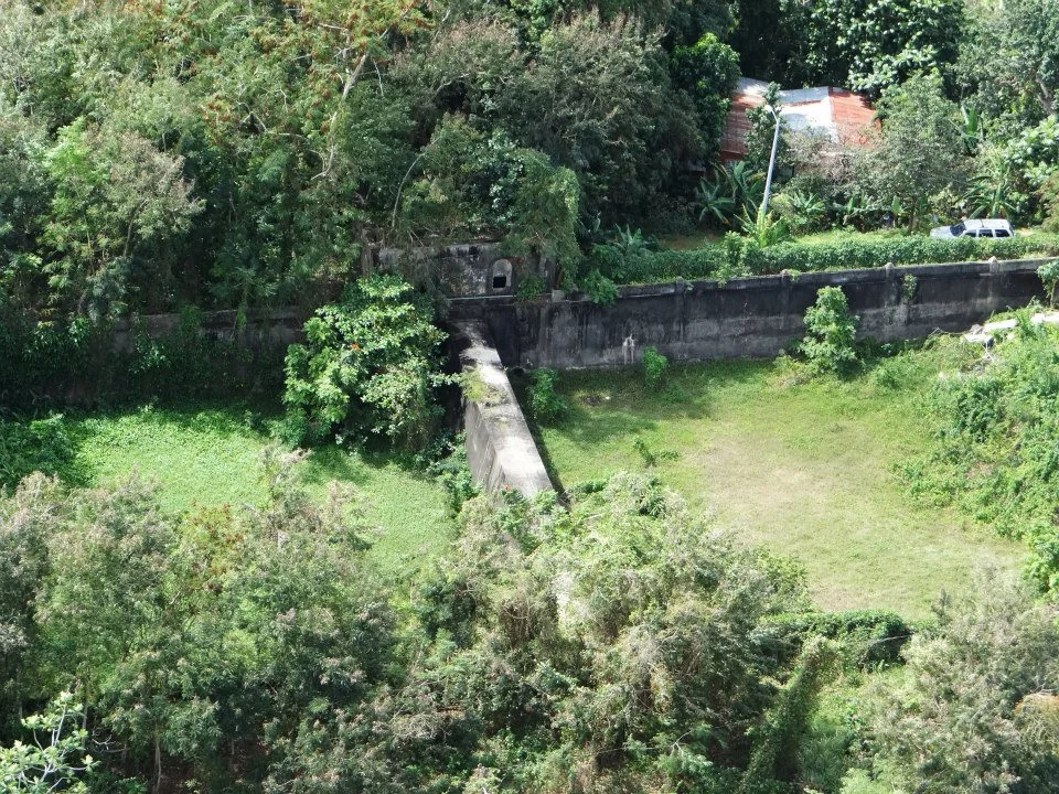 64431_45.jpg