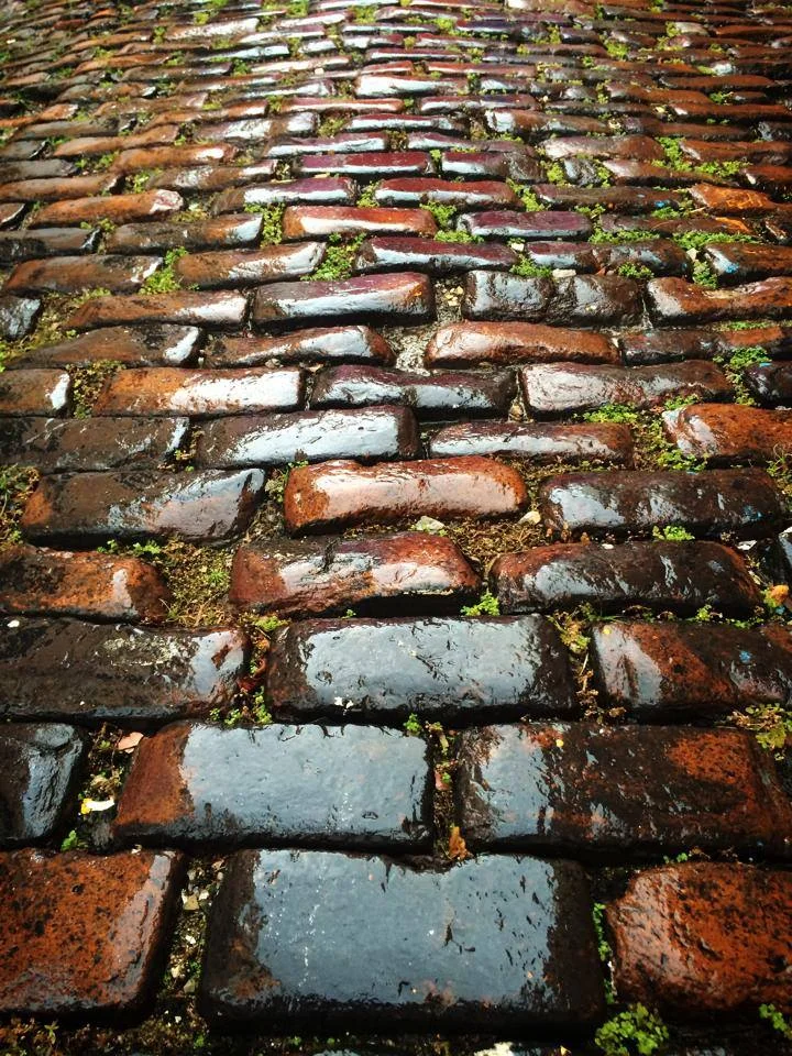 SHOW-UP Tour: ArquiAdoquines