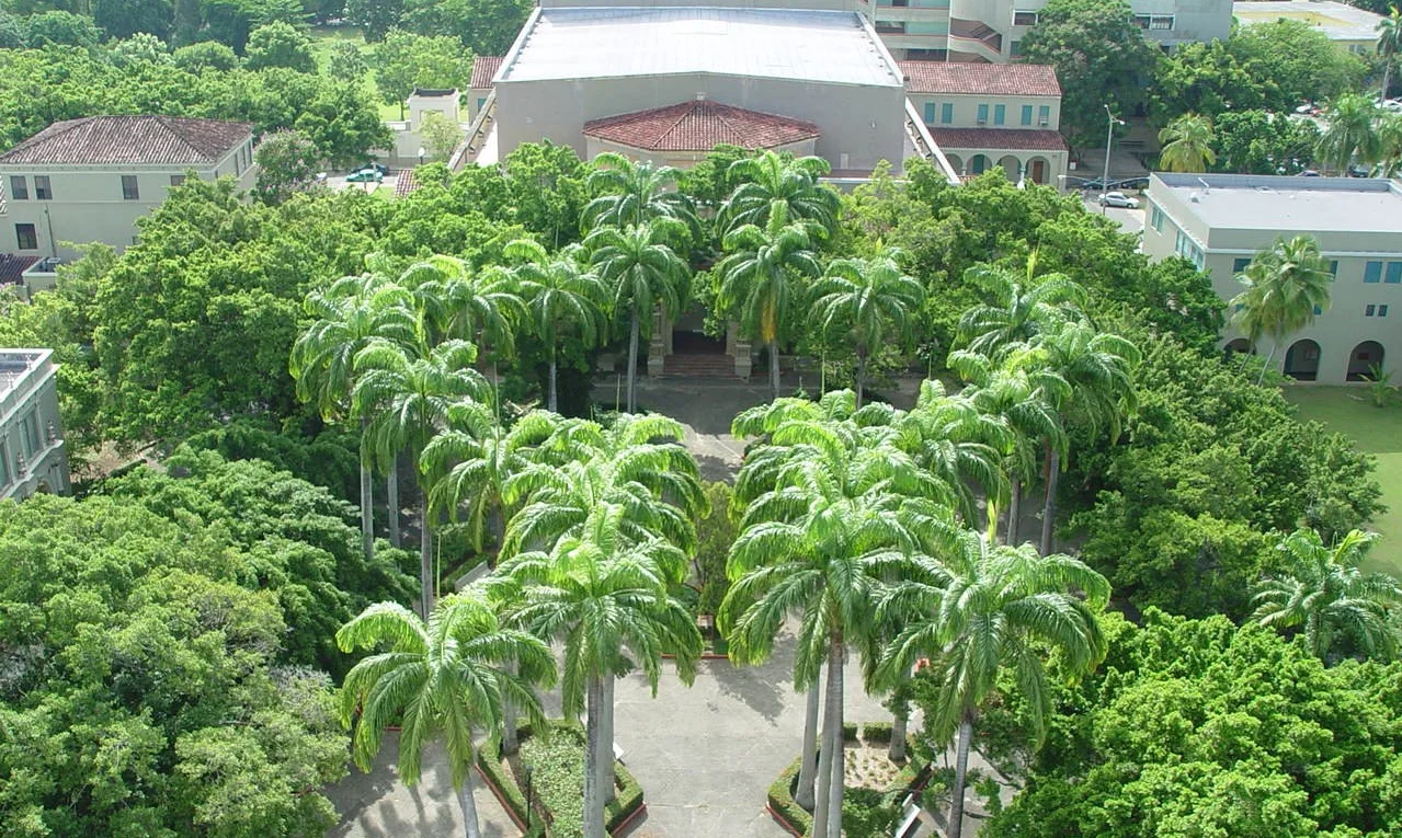 ArquiRío Piedras Tour