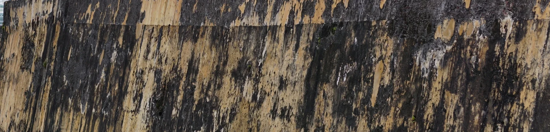 ArquiMurallas de San Juan