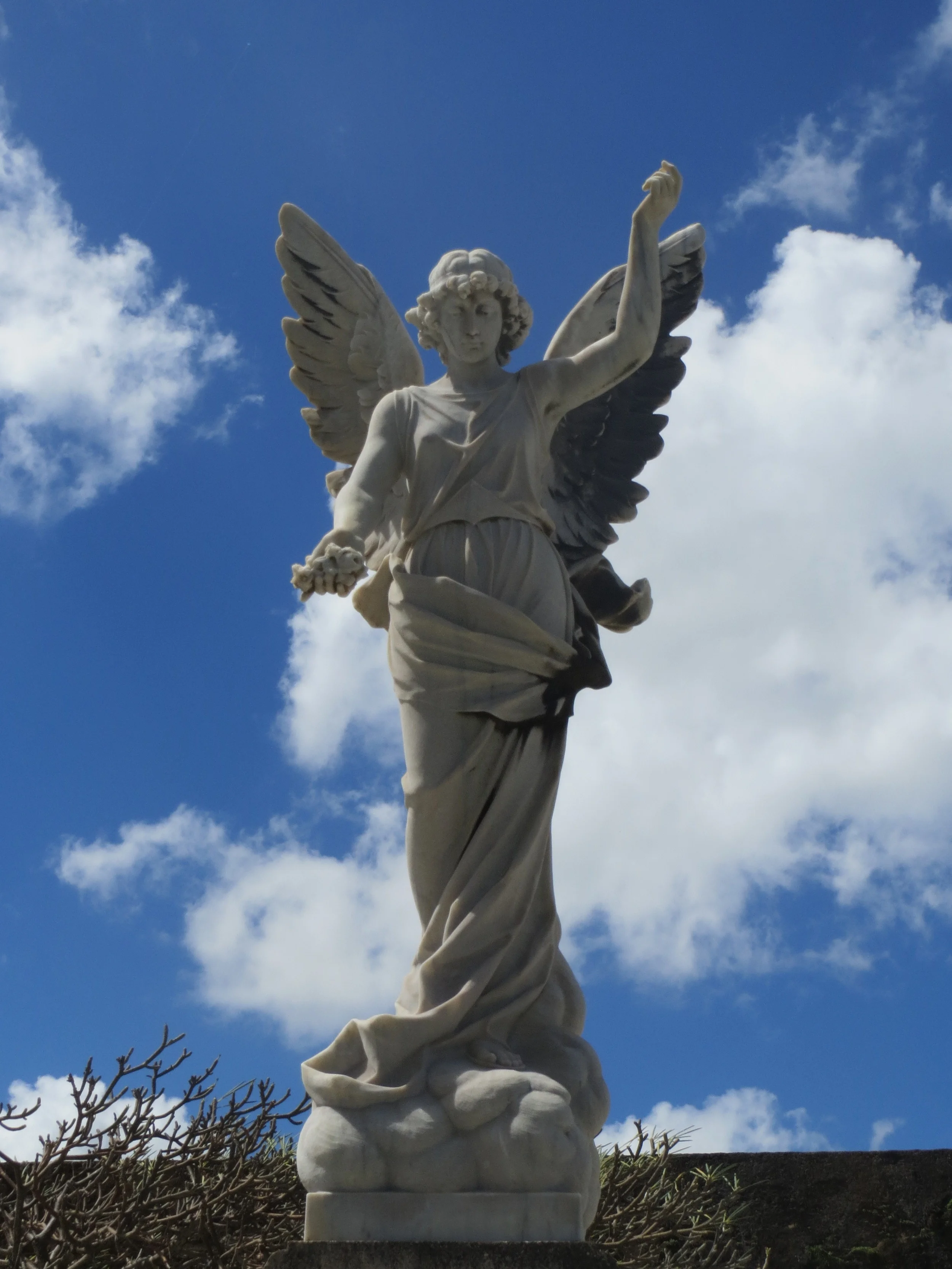 ArquiCementerio del Viejo San Juan