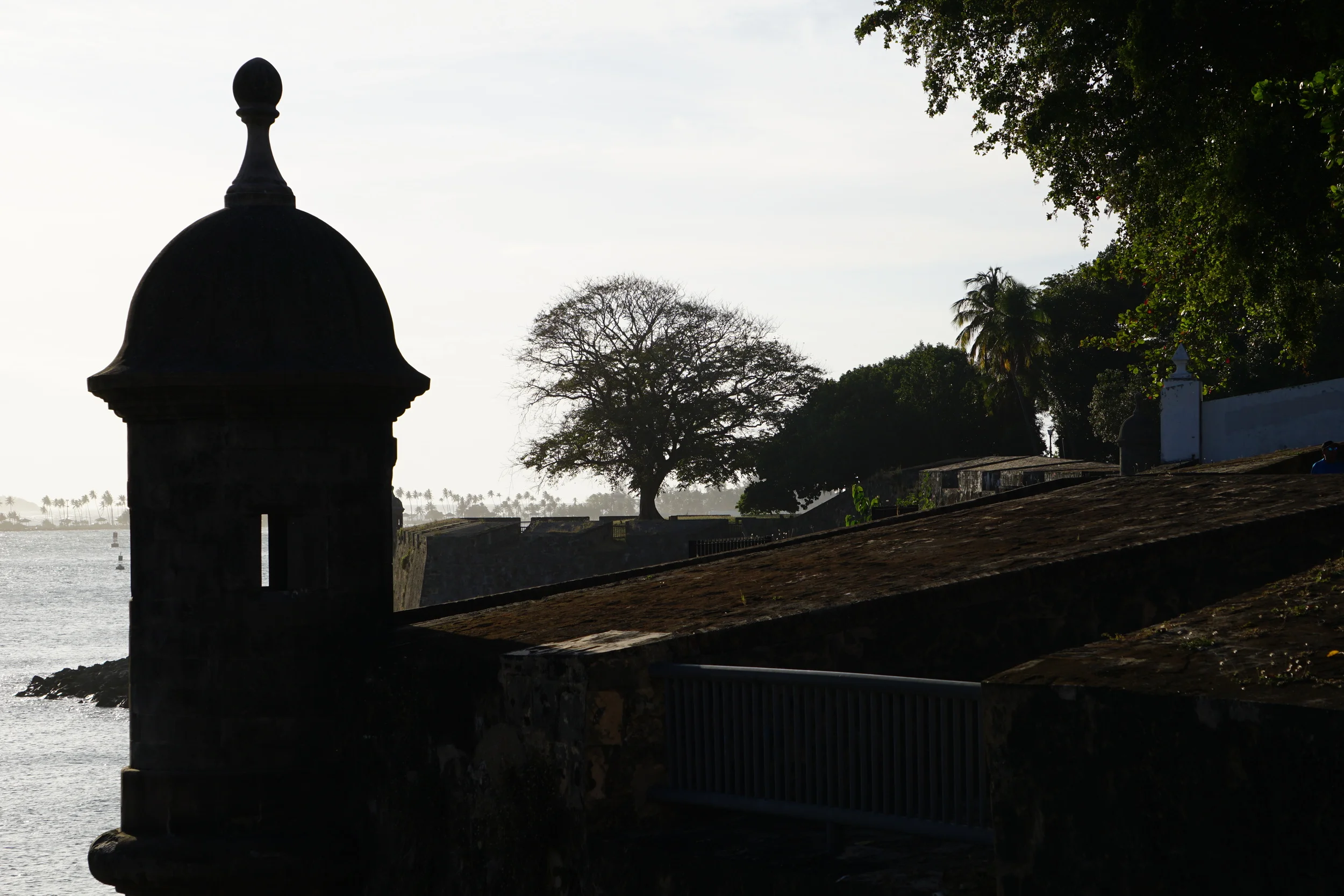 ArquiGaritas de San Juan