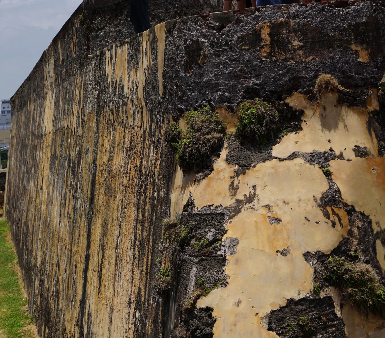 ArquiMurallas de San Juan