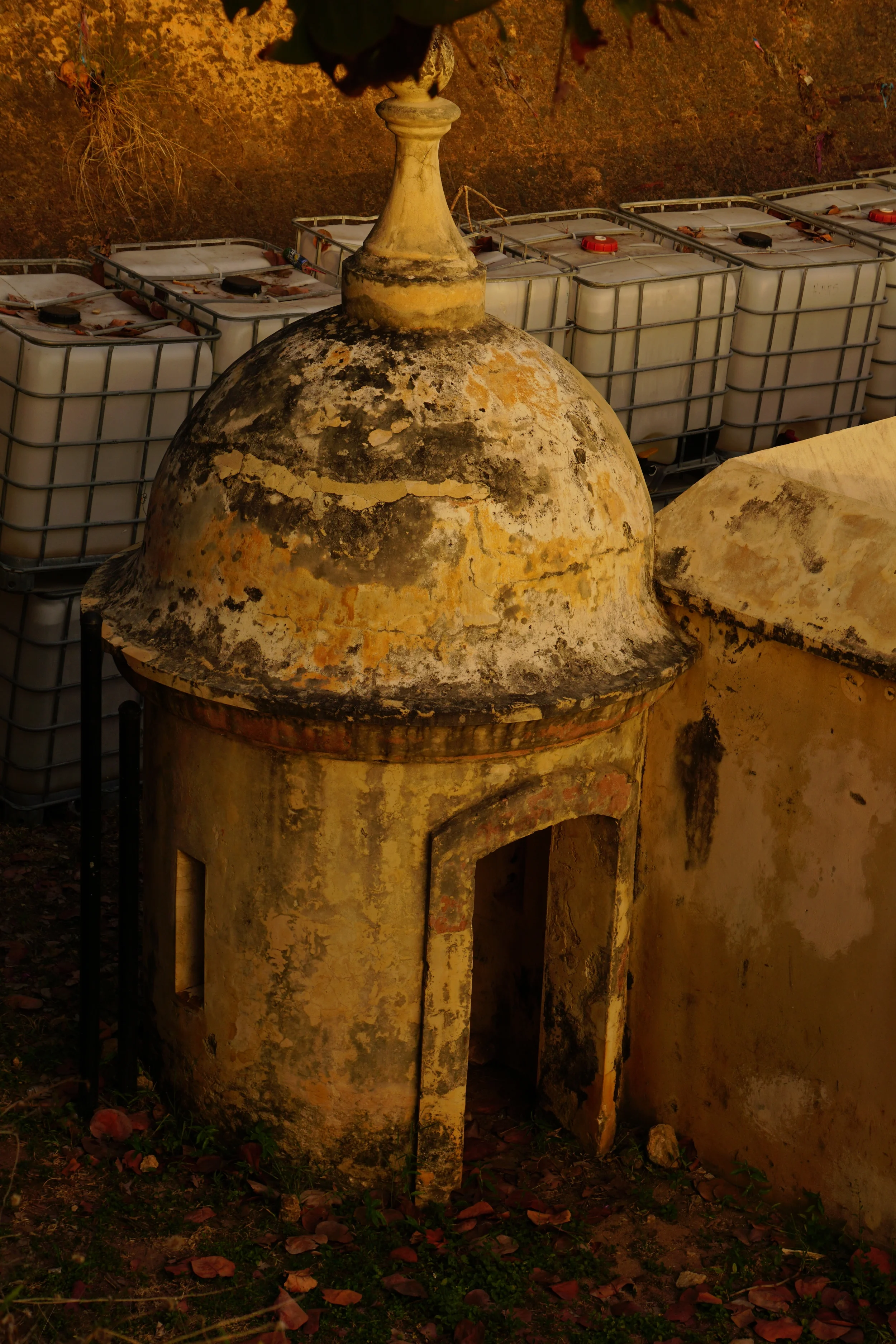 ArquiGaritas de San Juan