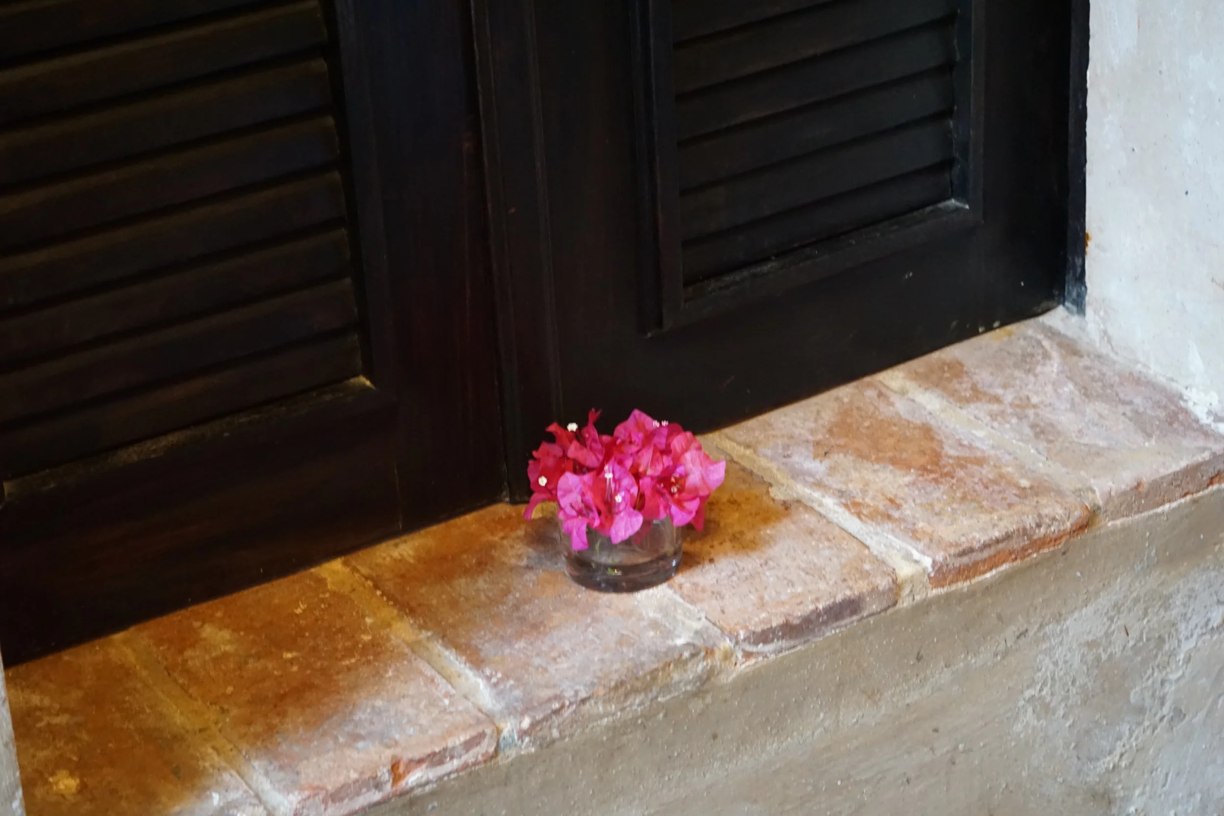 ArquiCuriosidades II