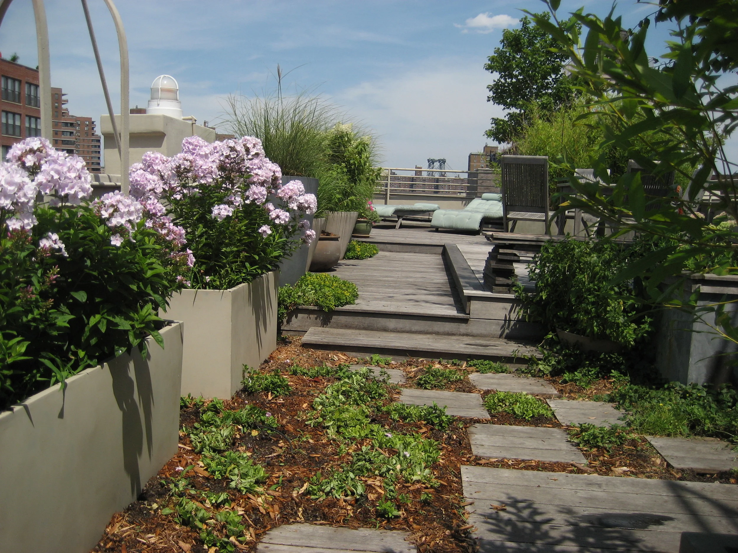 audition tape and garden photos 015.JPG