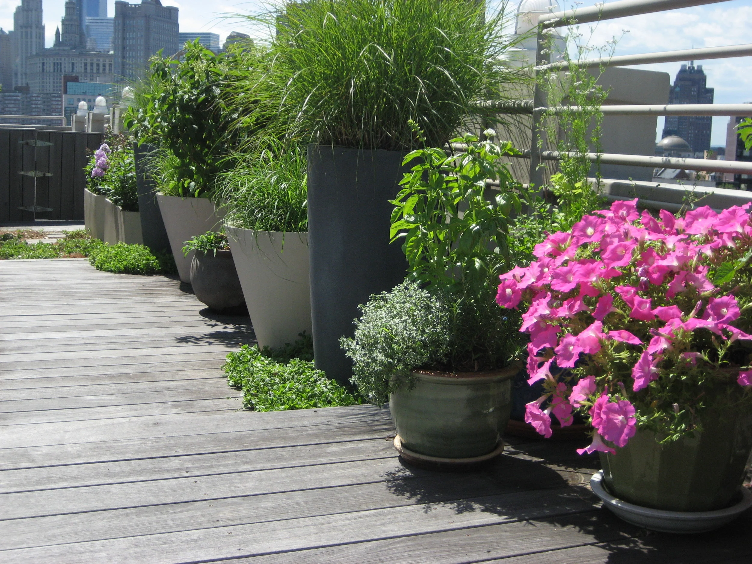 lower east side (5).JPG