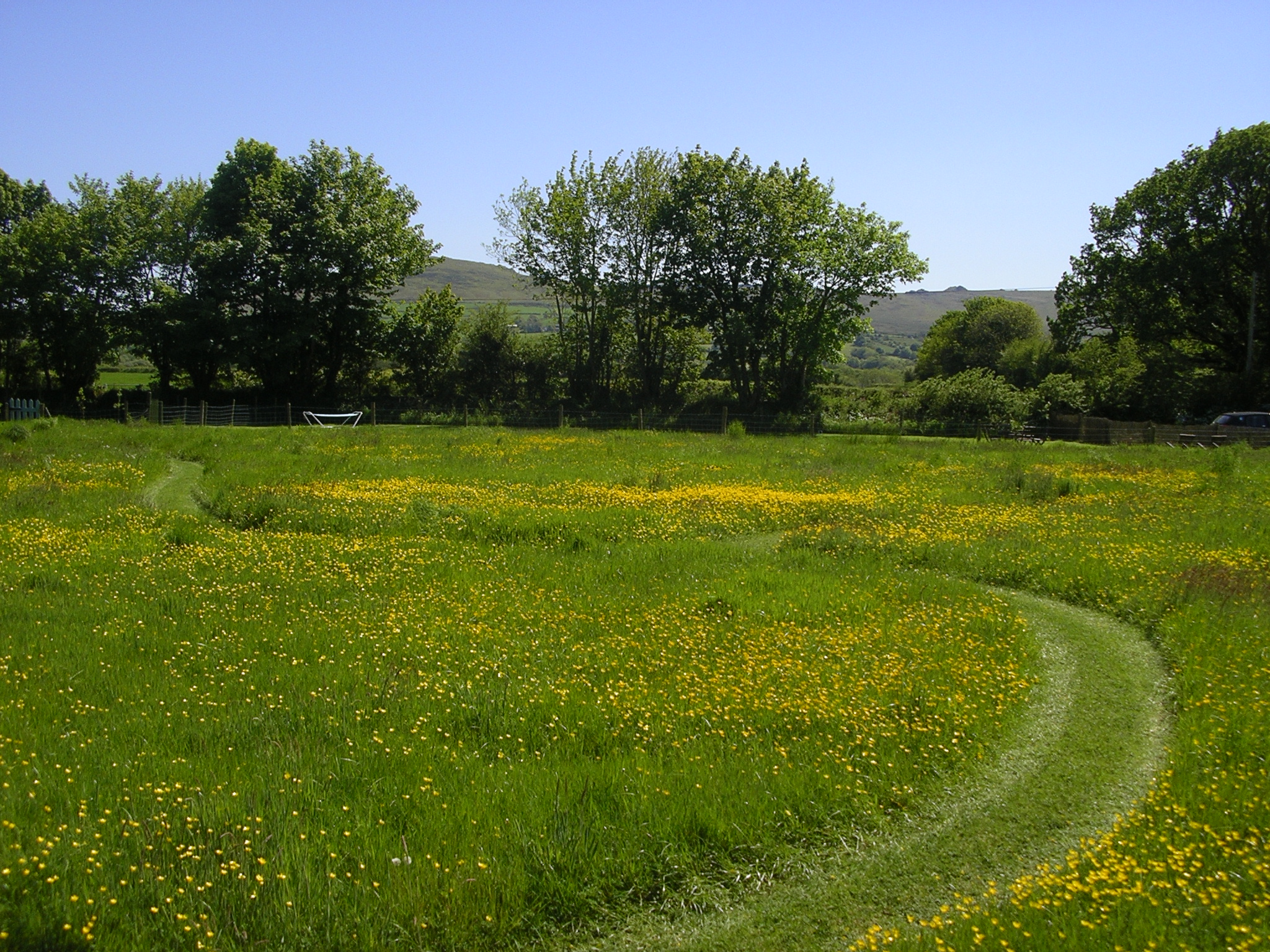 Meadow walk