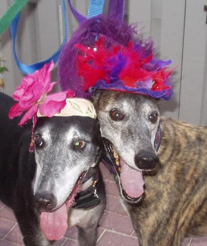 party_girls.jpg