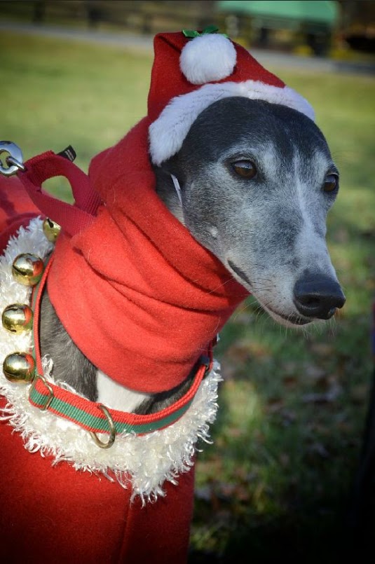 lollipop_santa.jpg