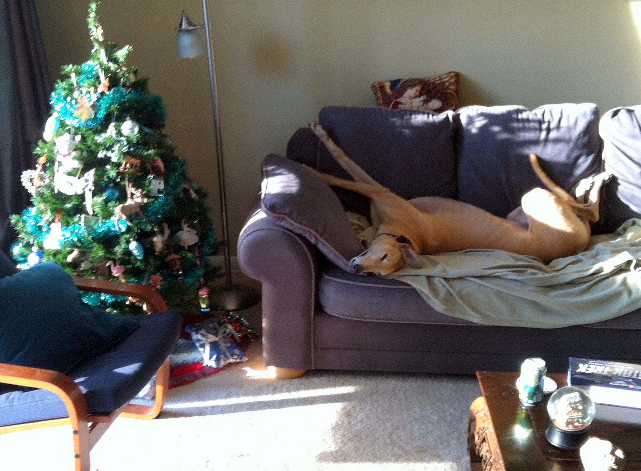 max xmas.jpg