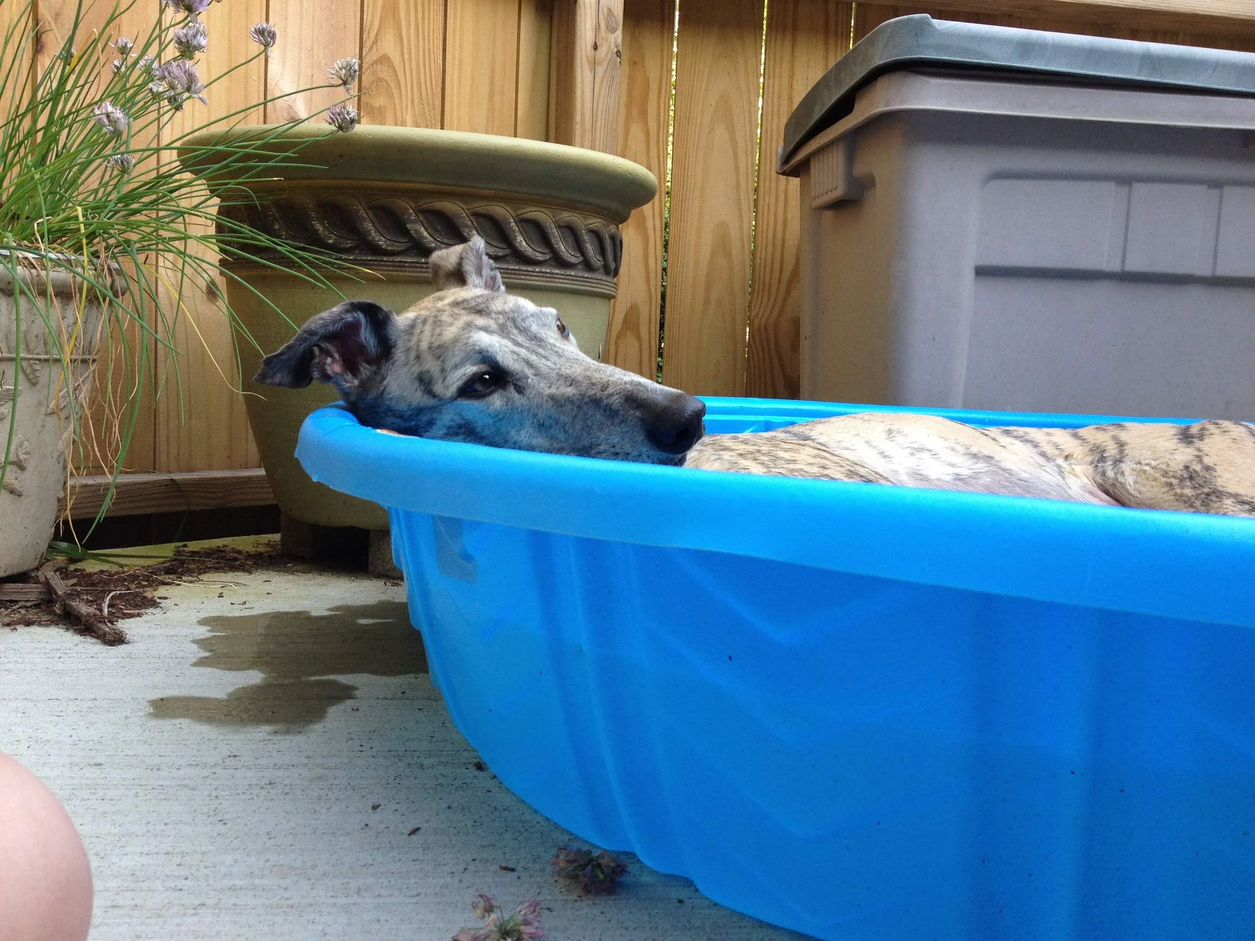 ajax beats the heat.jpg