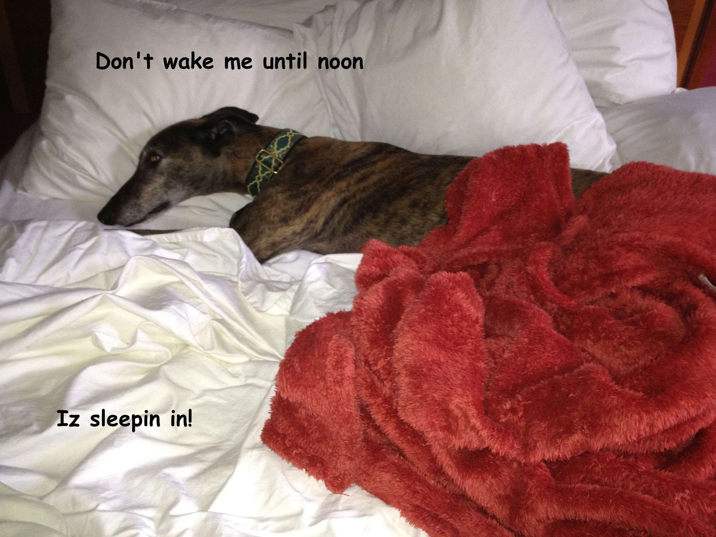 Do not disturb