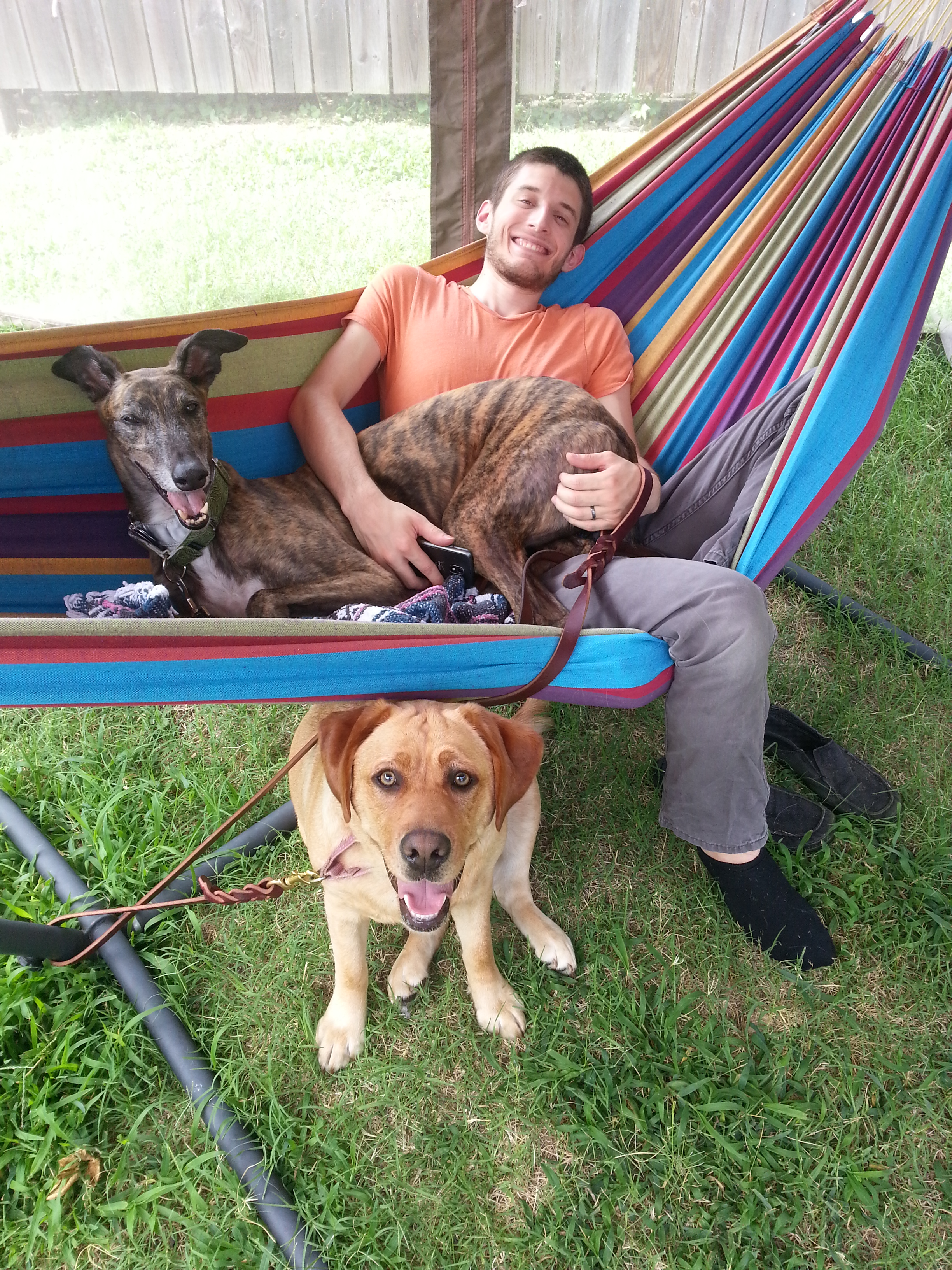 Some of Luke's new buddies include Laura Graham's ( Ambre's mom) greyhound Jude and Jude's buddy Sage.