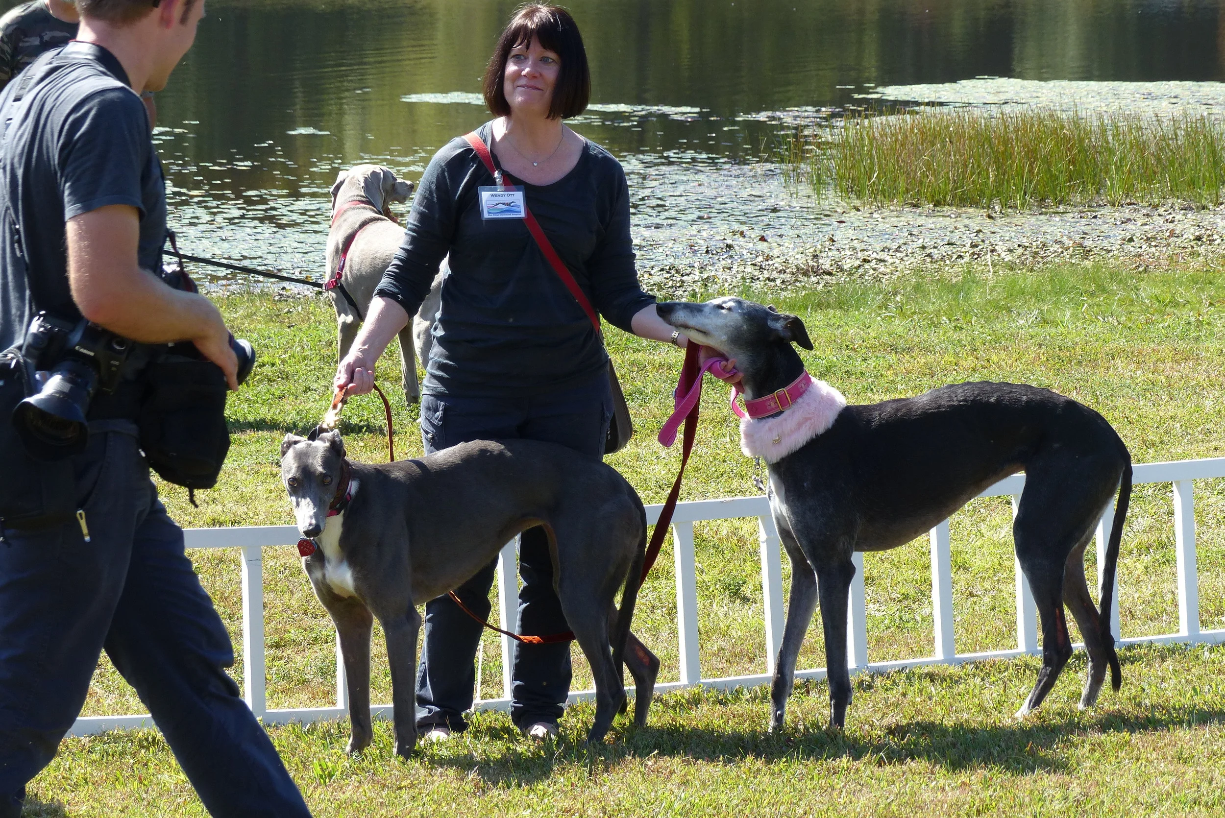 Wendy, Juliet and Ellie in the ring.