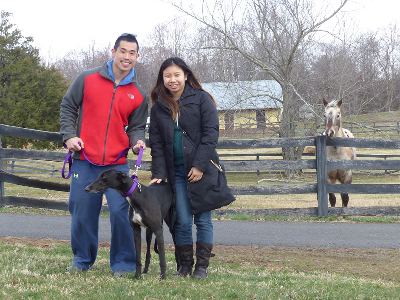 Eugene Su and Yueh Yee Wong pose with their new girl, Sally, as Roxie the Appaloosa looks on.