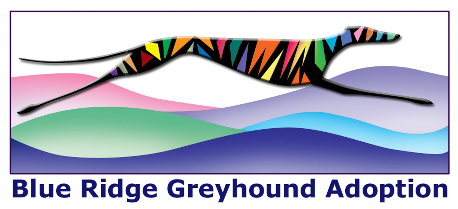 Blue Ridge Greyhound Adoption