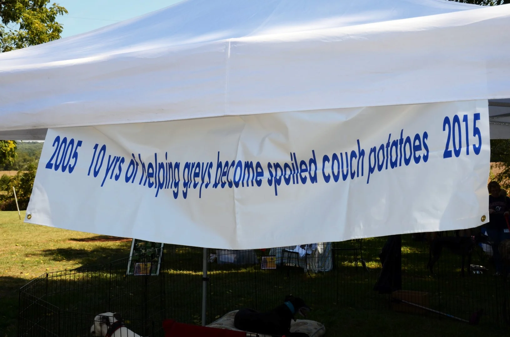 2015-09-19_12-38-36.jpg