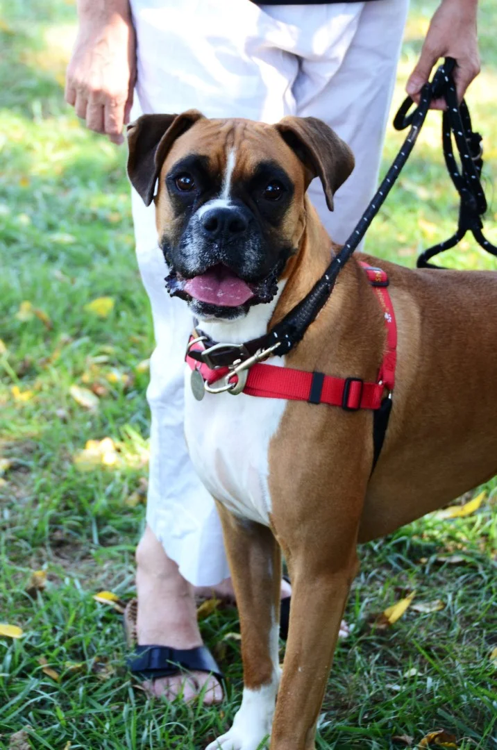 2015-09-19_13-24-10.jpg