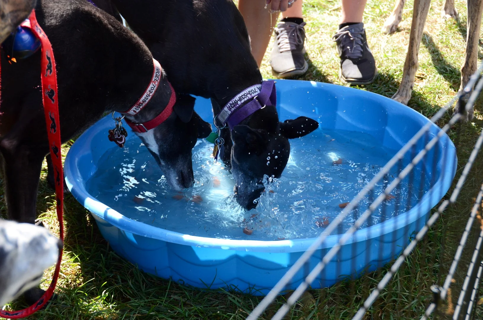 2015-09-19_14-50-44.jpg