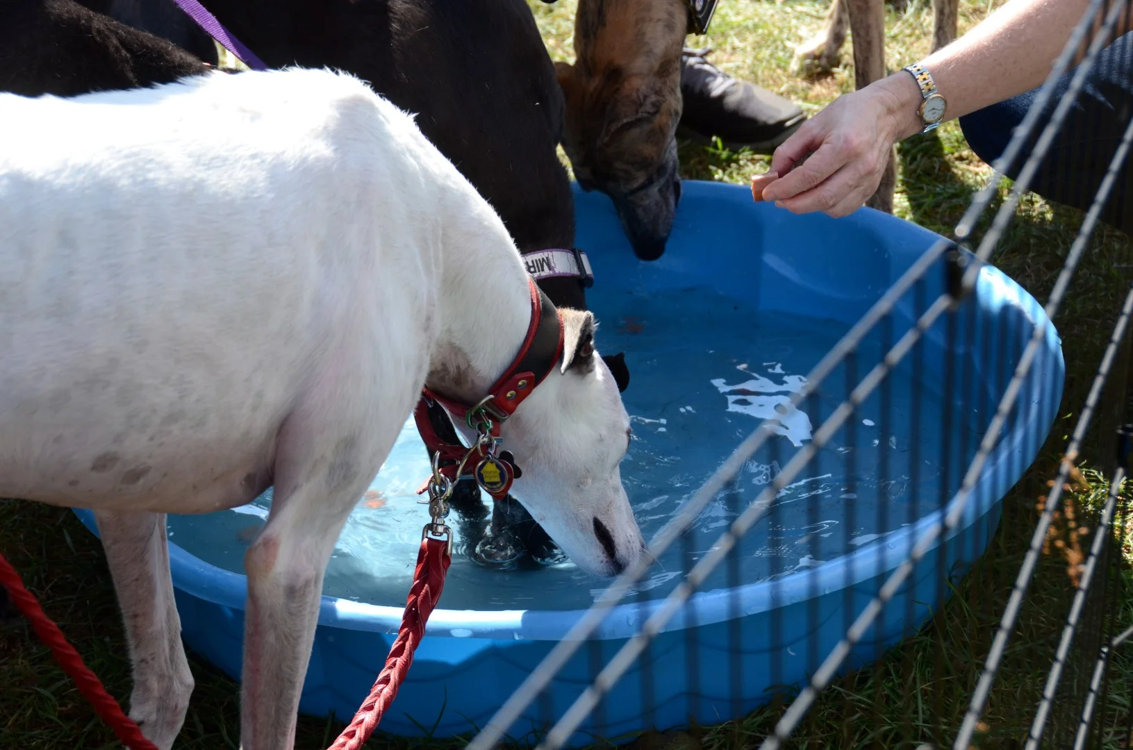 2015-09-19_14-51-00.jpg