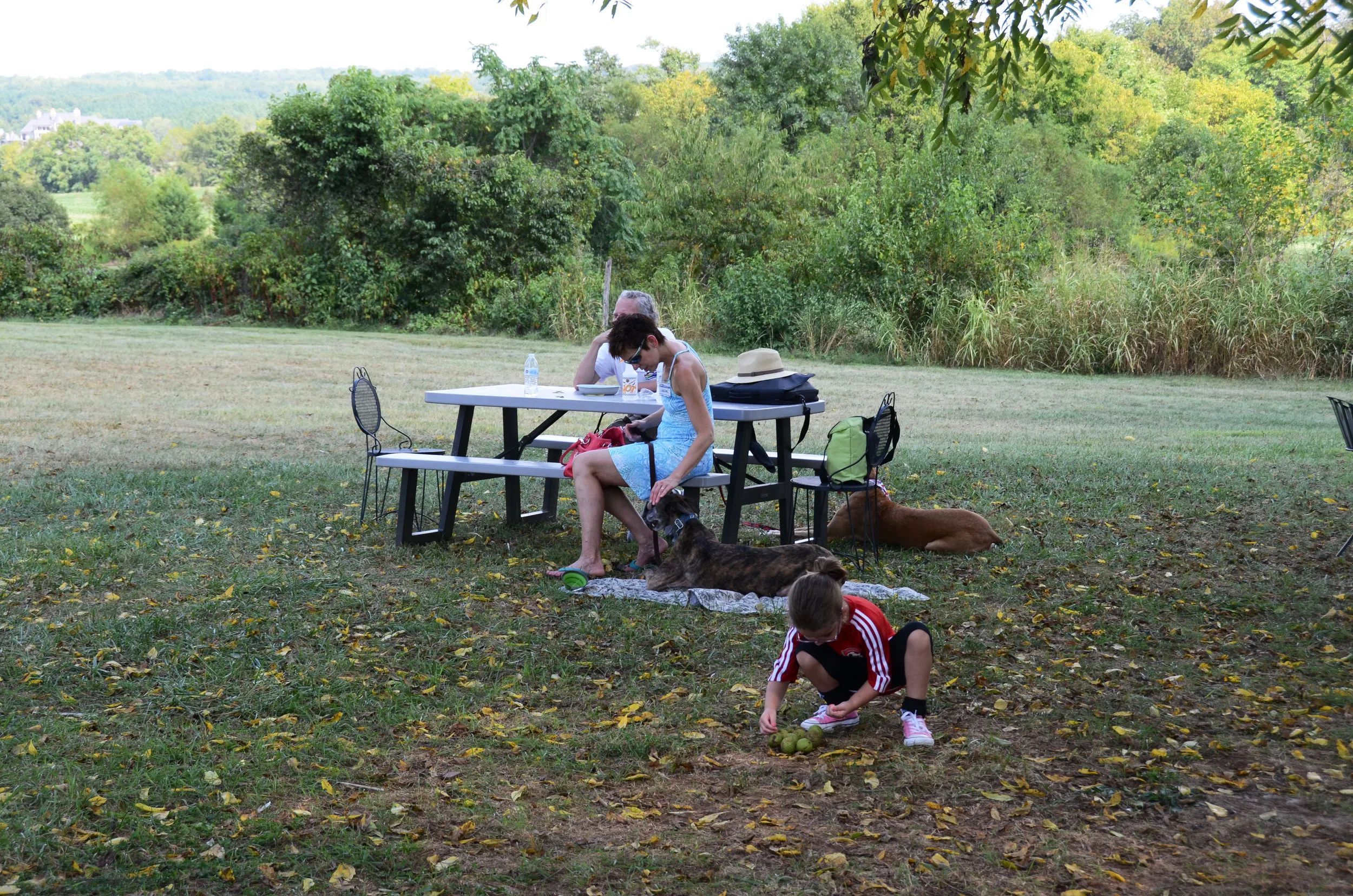 2016-09-10_13-02-48_01.jpg