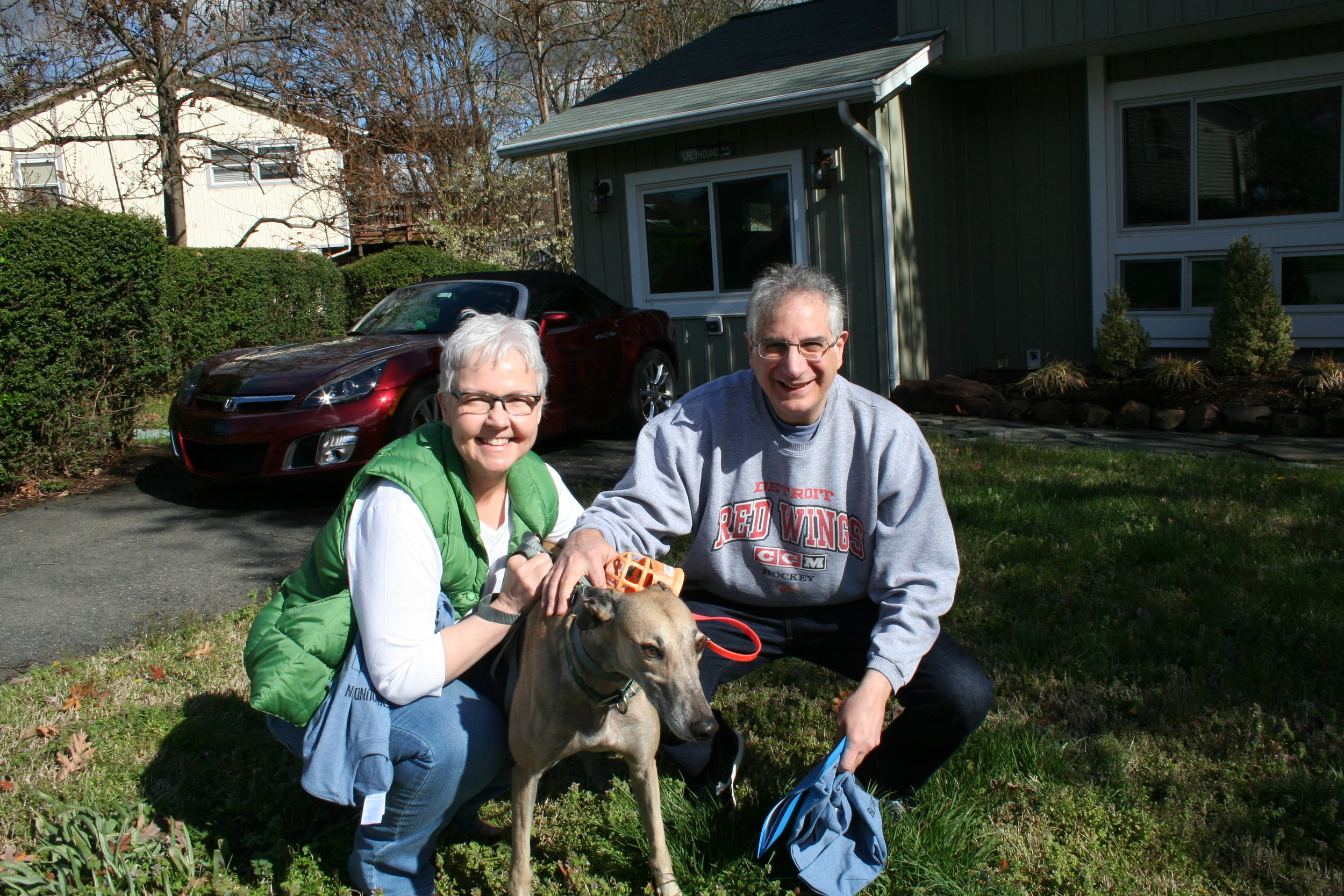 Kelli and Raymond adopted a real lap dog, Helen, a dark fawn with a gorgeous striped tail.