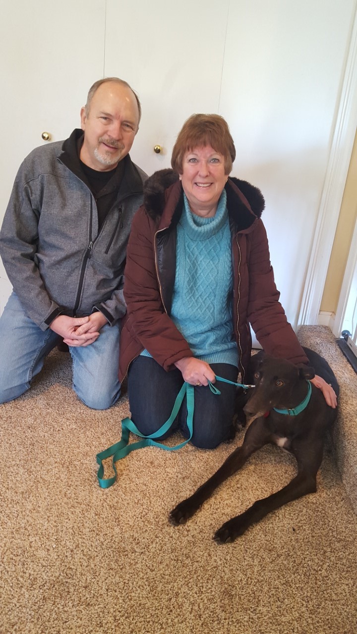 On Saturday, 02.04.2017, an adorable little girl named Precious...now being called Jade..... arrived here in Virginia to meet her new forever family. This little girl gets to claim the distinction of being the very first adoption for BRGA in 2017. Mark and Cynthia couldn't wait to meet their new little girl! Mark had been owned by greyhounds in the past and he couldn't wait to share the experience with Cynthia. Something tells me that we have another happy family in our pack!