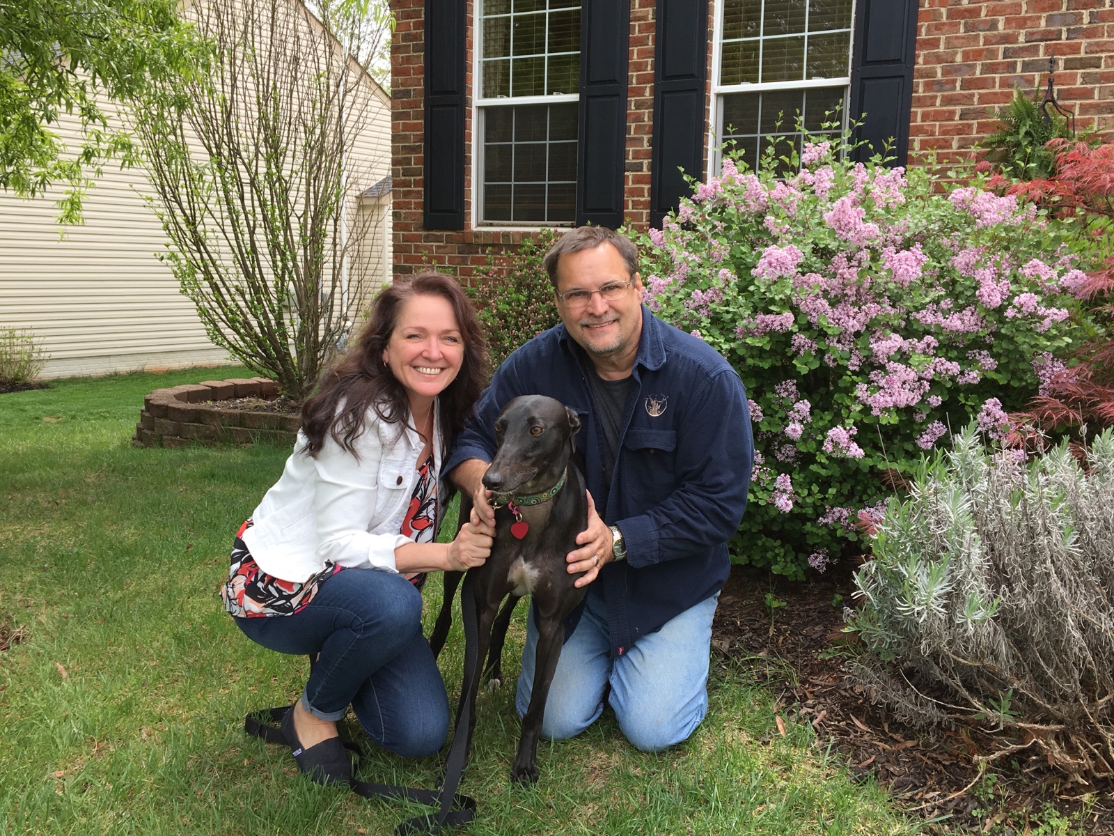 Peggy and her husband Kevin recently agreed to become fosters for our group. They had a greyhound, Nala, and decided they wanted to fill the home with another on a temporary basis... That was not to be! They fell in love with their foster, Midnight, now called Pepe' and once again have a home full of Grey love! Peggy promised she won't adopt all the Greys she fosters....or will try not to...we shall see!