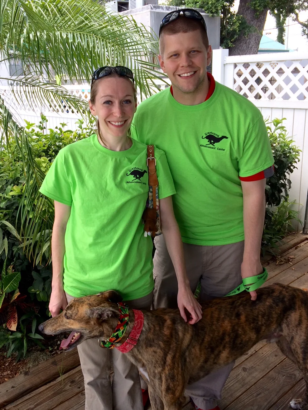 Kevin and Becky already have Chewie from this program and decided that another one, Wylie Finnegan Scooby-Doo (they are still working on the final name ;-) ) would be a perfect addition to the family. Finn is a beautiful and sweet brindle who is really enjoying being a part of the pack!