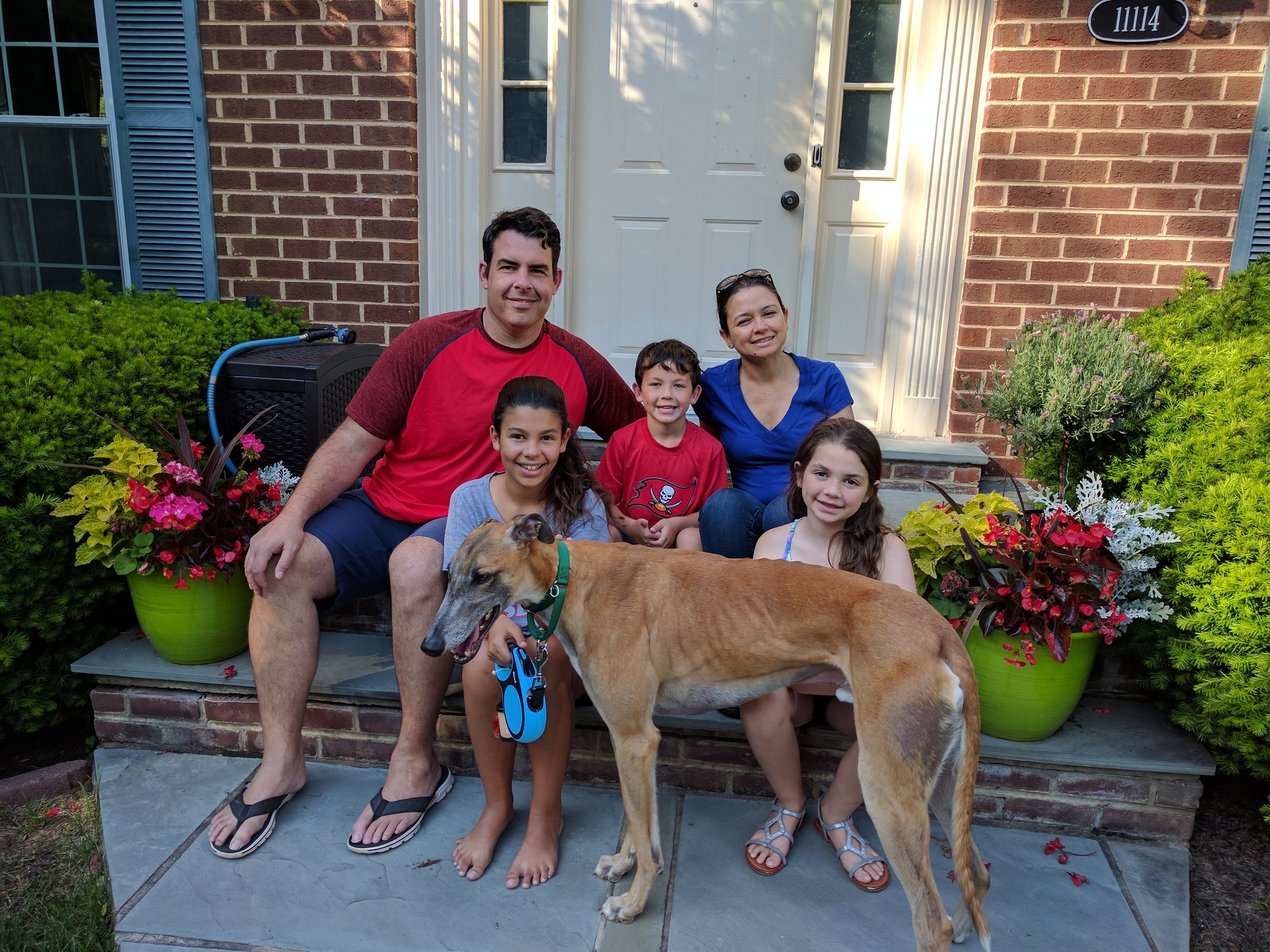 Matt and Mary adopted a sweet and affectionate red fawn male, called School Boy, now named Maui (everyone in the family starts with "M" )! He will be enjoying retirement with Matt's wife, Mary and their 3 children.