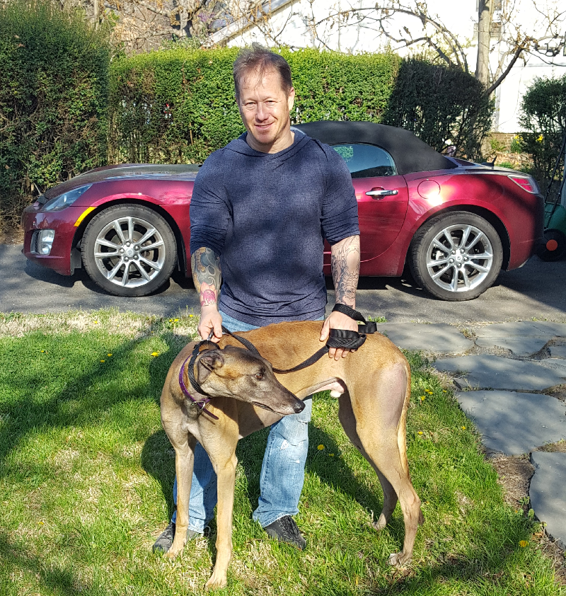 Kris finally has his new hound Pharaoh! Did I mention Pharoah is HUGE? Kris is one of our newest volunteers helping with hauls and meet and greets...without a Grey! The 1st day he helped us, it did not take long for him to apply and say, I want a retired big boy! Pharaoh is a beautiful sweet red male that just loves the attention Kris and his 2 smaller dogs have put on him! Congratulations to Kris and Pharaoh! You will see them at our events, so please say hi!