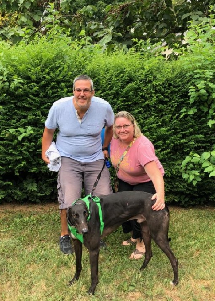 BRGA is very excited to see Blockhead, now called Roscoe go to his new wonderful home with Lisa and Dean in Rockville! Roscoe came to us as as a foster. He adjusted very quickly to a new home life thanks to our caring volunteer family! Roscoe will now be a pampered pup at home while Lisa and Mark work from home. He will also enjoy having a new sister, Maggie, the family's other Greyhound! Congratulations to Lisa, Mark and Roscoe!