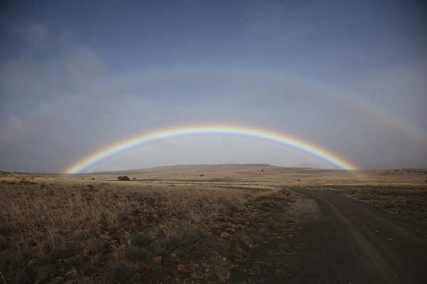 Rainbow.jpg