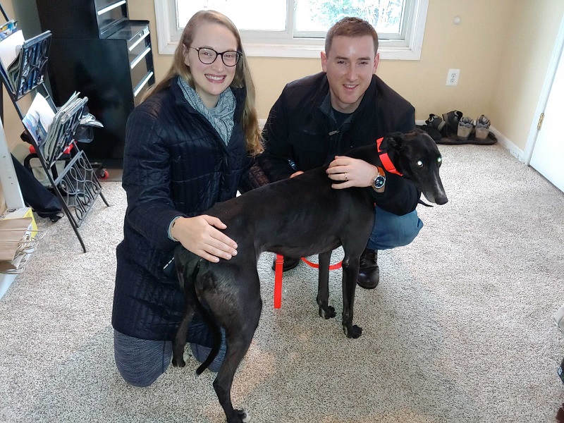 Cool Runnings, now called Barkley, came up on a special haul Nov. 14 thanks to Gold Coast Greyhound Adoption, Greyhounds in Motion, and their volunteers. Kimberly and Richard fell head over heals for Barkley. Barkley made himself right at home with a new bed and blanket! The Florida boy even loves the snow! Congratulations to Barkley, Kimberly and Richard!