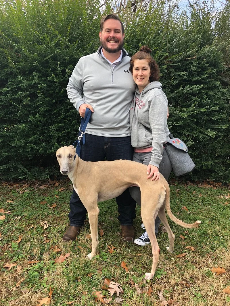 RINGING IN THE NEW YEAR WITH OUR NEWEST ADOPTED FAMILY! On January 1, 2019, Patches, one of BRGA's sponsored broken leg dogs finally has his new home! Andrew and Christine had originally applied to foster a Greyhound as company for their Grey at home. When they heard about Patches, a gorgeous blue fawn male, they said, YES-we want him in our home! Patches has been recovering in fabulous foster care since November. Finally Christine and Andrew could not wait 1 day longer and took Patches home to enjoy the couch and his new Greyhound friend! Congratulations to Christine, Andrew and Patches!! WHAT A HAPPY NEW YEAR FOR ALL!