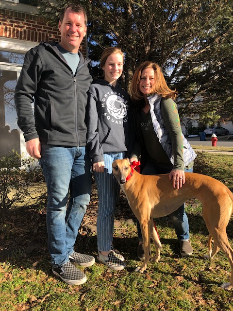 Sarah, Tim, and daughter Katie waited a long time for the arrival of Saoirse. The phrase, "It takes a Village" is so true with this special girl. She was a BRGA sponsored broken leg dog. With the help of multiple volunteers in FL, Saoirse was given lots of love and time to heal prior to her adoption. The family says she is already giving lots of kisses. and stays right next to them on her bed with her blankie and her bunny. She is an amazing girl! BRGA is thrilled that she is finally in her forever home!