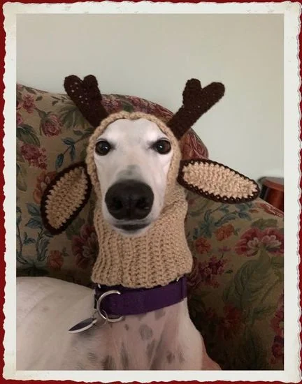 snood_reindeer_s550.jpg