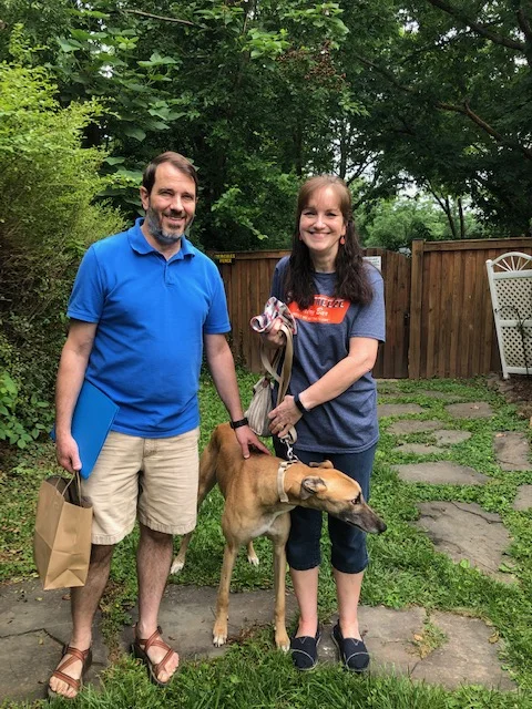 Please welcome Doreen and Randy with WWW Muhammad Ali, now called Buddy! Doreen and Randy are empty nesters. They realized what their home was missing was a new dog and this time they decided a greyhound would be the perfect fit. Welcome Buddy! He is working very hard to learn stairs and slept all night through the first night. Congratulations to Buddy, Doreen and Randy!