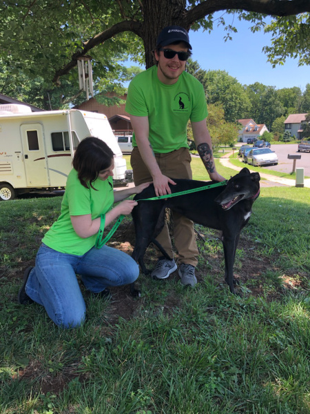 Congratulations to Cody, Katie and their new, sweet Hardee Graduate, Snappy Sue (aka Snappy). Snappy went in to the prison training program in April as shy and unsure of her surroundings. She just graduated as "the little darling" in her class by being spoiled by all the wonderful volunteers and inmate trainers. Snappy knows all of her basic commands and a few more. She just loves to please Cody and Katie! We welcome Snappy with Cody and Katie to the BRGA pack!