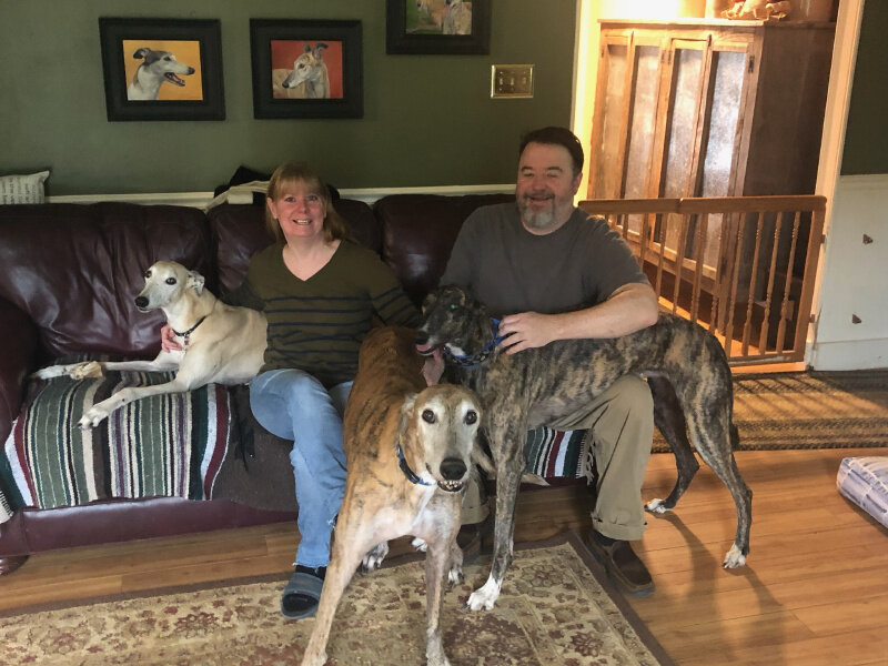 We are thrilled to announce that Wendy and Mike have adopted a very special 2 year old brindle male, Ford. Ford has Progressive Retinal Atrophy (PRA). It's a degenerative eye disease that will ultimately lead to completely blindness. But that hasn't stopped Ford from learning his way around his new home! He has several Greyhounds as brothers and sisters who will teach him the way. Wendy has already been teaching Ford Nosework to help him know where things are. At an early stage, hes already scored 100%! Ford holds a special place in BRGA's hearts and we know he is exactly where he needs to be. Thanks to Wendy and Mike to opening their house and their hearts to this very special boy.